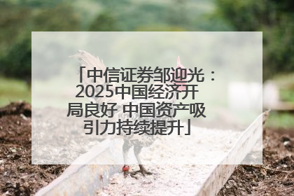 中信证券邹迎光：2025中国经济开局良好 中国资产吸引力持续提升