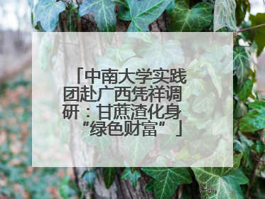 中南大学实践团赴广西凭祥调研：甘蔗渣化身“绿色财富”