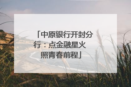 中原银行开封分行：点金融星火 照青春前程