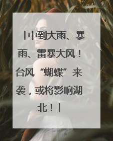 中到大雨、暴雨、雷暴大风！台风“蝴蝶”来袭，或将影响湖北！
