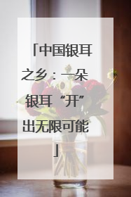 中国银耳之乡：一朵银耳“开”出无限可能