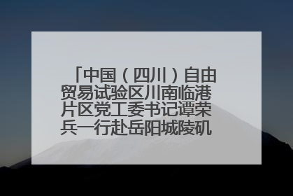 中国（四川）自由贸易试验区川南临港片区党工委书记谭荣兵一行赴岳阳城陵矶综保区考察