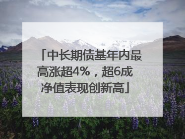 中长期债基年内最高涨超4%，超6成净值表现创新高