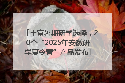 丰富暑期研学选择，20个“2025年安徽研学夏令营”产品发布