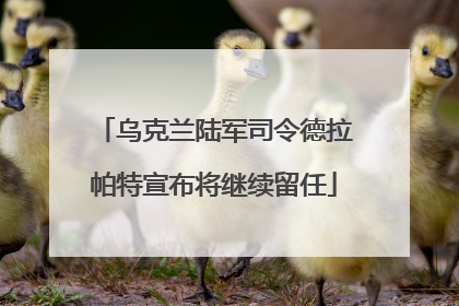 乌克兰陆军司令德拉帕特宣布将继续留任