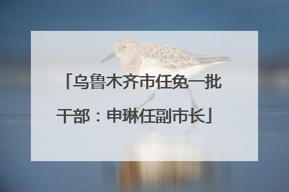 乌鲁木齐市任免一批干部：申琳任副市长