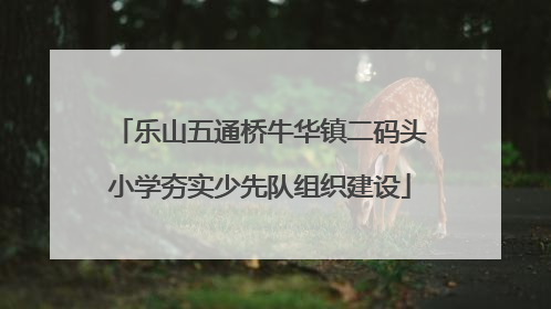 乐山五通桥牛华镇二码头小学夯实少先队组织建设