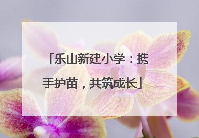 乐山新建小学：携手护苗，共筑成长