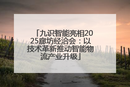 九识智能亮相2025廊坊经洽会：以技术革新推动智能物流产业升级