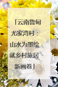 云南鲁甸尤家湾村：山水为墨绘就乡村旅居新画卷