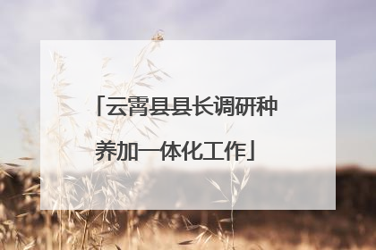 云霄县县长调研种养加一体化工作