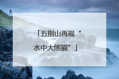 五指山再现“水中大熊猫”