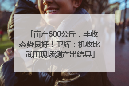 亩产600公斤，丰收态势良好！卫辉：机收比武田现场测产出结果