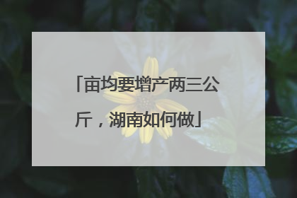 亩均要增产两三公斤，湖南如何做