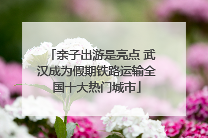 亲子出游是亮点 武汉成为假期铁路运输全国十大热门城市