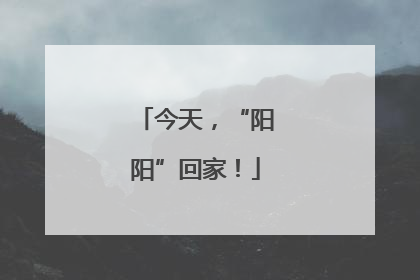 今天，“阳阳”回家！