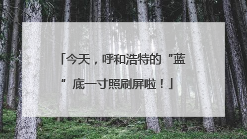 今天，呼和浩特的“蓝”底一寸照刷屏啦！