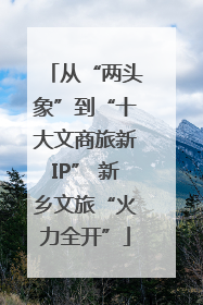 从“两头象”到“十大文商旅新IP” 新乡文旅“火力全开”