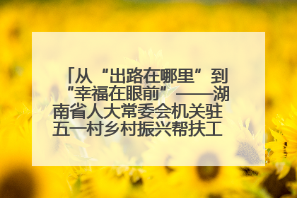 从“出路在哪里”到“幸福在眼前”——湖南省人大常委会机关驻五一村乡村振兴帮扶工作队书写振兴答卷