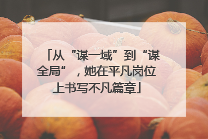 从“谋一域”到“谋全局”，她在平凡岗位上书写不凡篇章