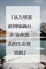 从万里茶道到绿满山乡 安化黑茶的生态致富路