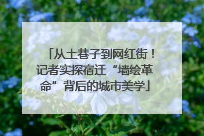 从土巷子到网红街！记者实探宿迁“墙绘革命”背后的城市美学