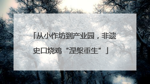 从小作坊到产业园，非遗史口烧鸡“涅槃重生”