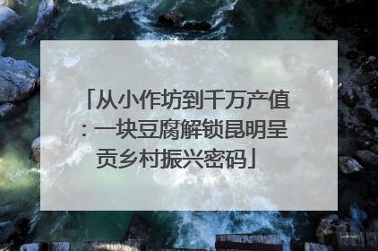 从小作坊到千万产值：一块豆腐解锁昆明呈贡乡村振兴密码