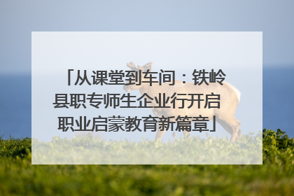 从课堂到车间：铁岭县职专师生企业行开启职业启蒙教育新篇章