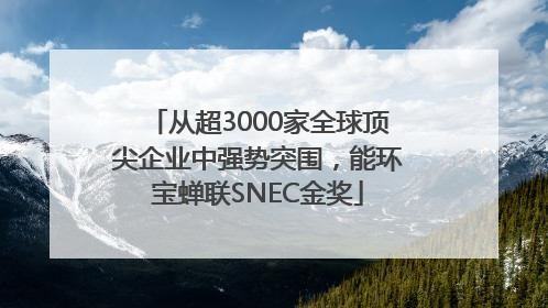 从超3000家全球顶尖企业中强势突围，能环宝蝉联SNEC金奖