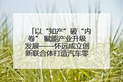 以“知产”破“内卷” 赋能产业升级发展——怀远成立创新联合体打造汽车零部件产业新高地