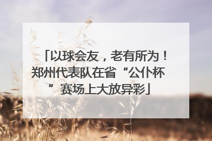 以球会友，老有所为！郑州代表队在省“公仆杯”赛场上大放异彩