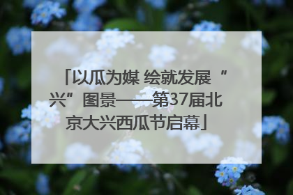 以瓜为媒 绘就发展“兴”图景——第37届北京大兴西瓜节启幕