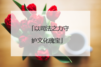 以司法之力守护文化瑰宝