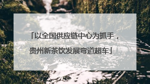 以全国供应链中心为抓手，贵州新茶饮发展弯道超车