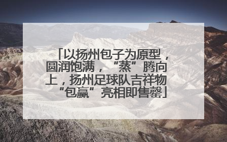 以扬州包子为原型，圆润饱满，“蒸”腾向上，扬州足球队吉祥物“包赢”亮相即售罄