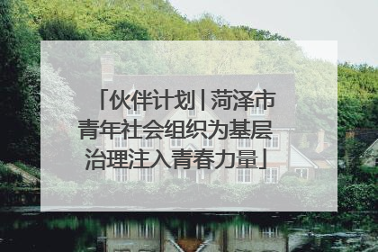 伙伴计划│菏泽市青年社会组织为基层治理注入青春力量