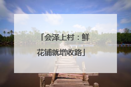 会泽上村：鲜花铺就增收路