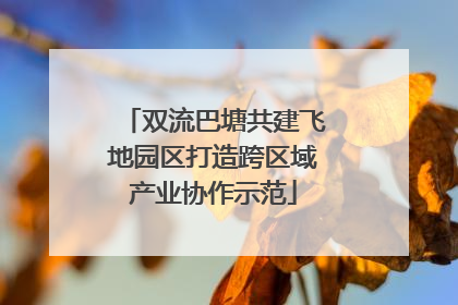 双流巴塘共建飞地园区打造跨区域产业协作示范