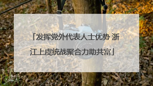 发挥党外代表人士优势 浙江上虞统战聚合力助共富