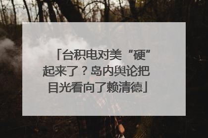 台积电对美“硬”起来了？岛内舆论把目光看向了赖清德