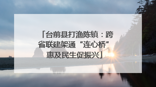 台前县打渔陈镇：跨省联建架通“连心桥” 惠及民生促振兴