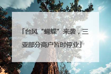台风“蝴蝶”来袭，三亚部分商户暂时停业