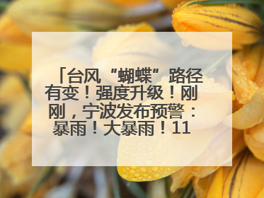 台风“蝴蝶”路径有变！强度升级！刚刚，宁波发布预警：暴雨！大暴雨！11级大风！