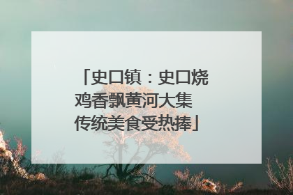 史口镇：史口烧鸡香飘黄河大集 传统美食受热捧