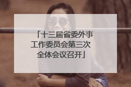 十三届省委外事工作委员会第三次全体会议召开