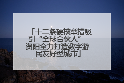 十二条硬核举措吸引“全球合伙人” 资阳全力打造数字游民友好型城市