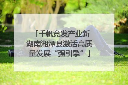 千帆竞发产业新 湖南湘潭县激活高质量发展“强引擎”
