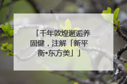 千年敦煌邂逅养固健，注解「新平衡•东方美」