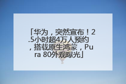 华为，突然宣布！2.5小时超4万人预约，搭载原生鸿蒙，Pura 80外观曝光